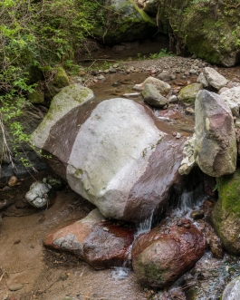 Rotenburo Hebin-yu, Beppu Japan - Photos by François Cavelier