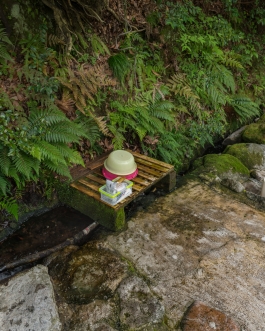 Rotenburo Hebin-yu, Beppu Japan - Photos by François Cavelier
