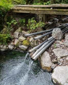 Rotenburo Hebin-yu, Beppu Japan - Photos by François Cavelier