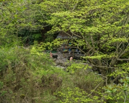 Rotenburo Hebin-yu, Beppu Japan - Photos by François Cavelier