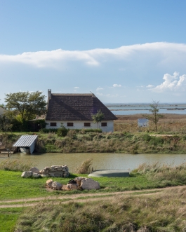 La Botte Gardiane, Carmague. Photo by Francois Cavelier