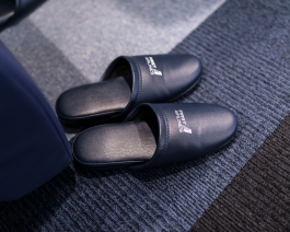 First Airlines. Ikebukuro Tokyo. VR Virtual Reality flight - World's first virtual aviation facility. Photo François Cavelier