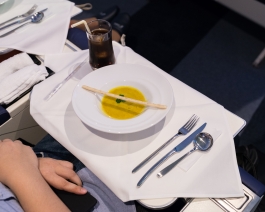 First Airlines. Ikebukuro Tokyo. VR Virtual Reality flight - World's first virtual aviation facility. Photo François Cavelier
