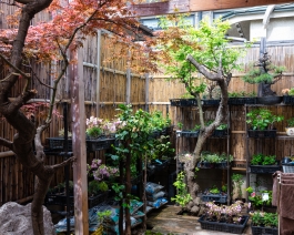 SAIDEIGAMA Jingumae Shibuya located in the fancy Omotesando area, Saideigama studio offers the largest pottery workshop ancestral Japanese craft