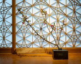 44A2 YOSHIATSU Ebisu Tokyo Chef Yoshiatsu Fukushima traditional styles and innovative elements within the framework of Japanese cuisine. The minimalist interior